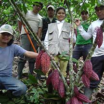 SEMIFOR E.I.R.L. y su presencia en el mercado forestal